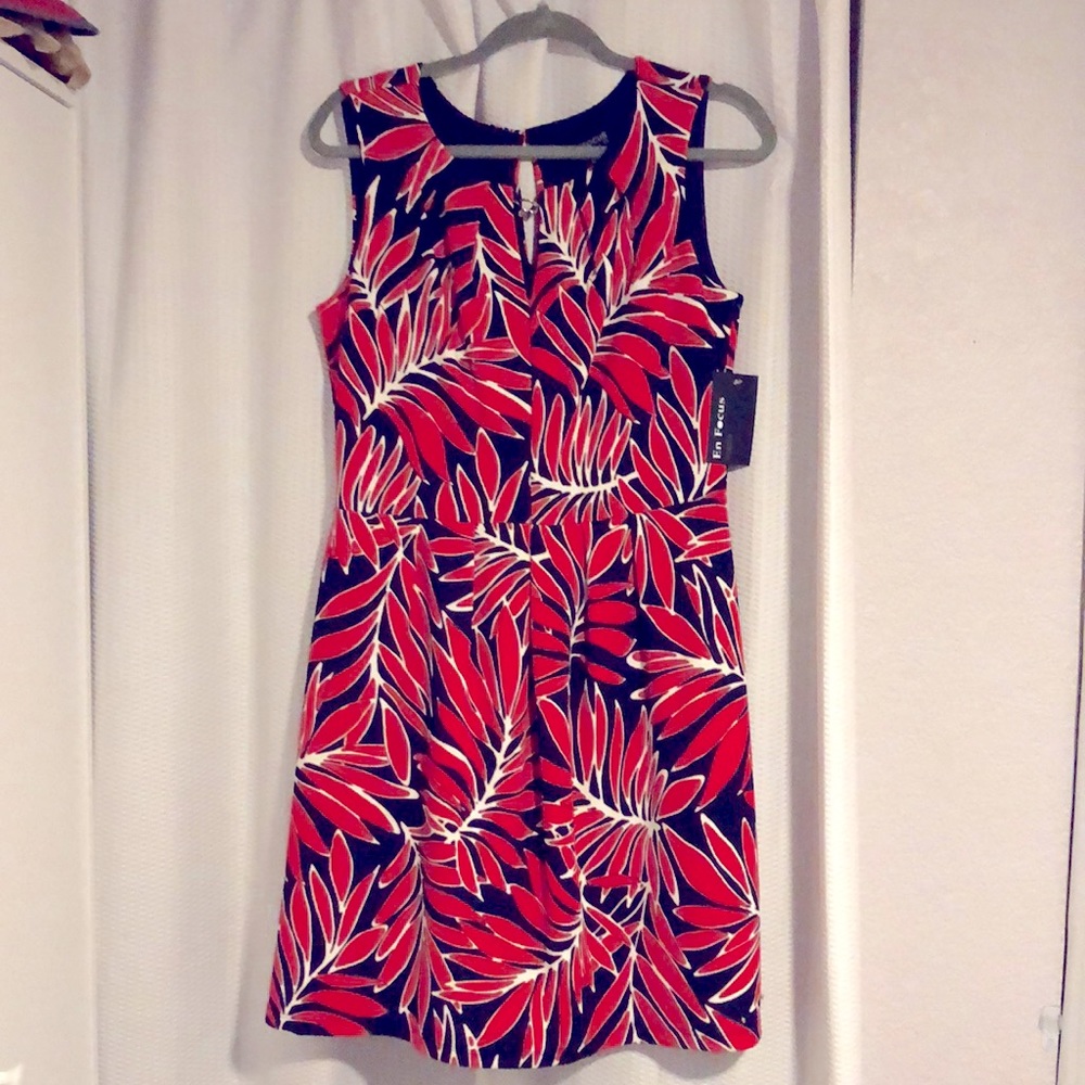 Blue and red knee length dress.
